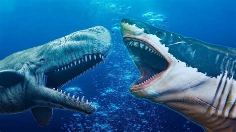 megalodon vs leviathan|leviathan melvillei vs megalodon.